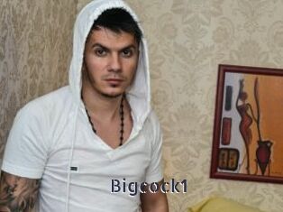 Bigcock1