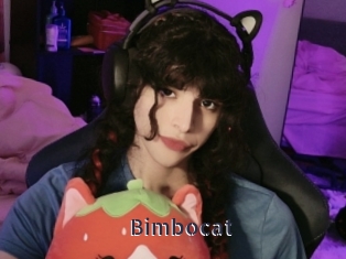 bimbocat webcam livesex