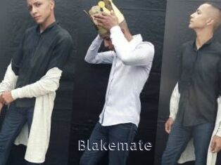 blakemate webcam livesex