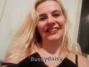Bussydaisy