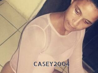 CASEY2004
