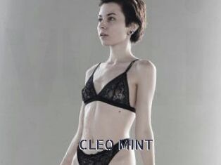 CLEO_MINT