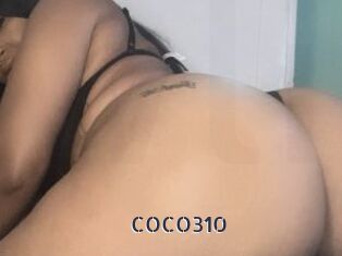 COCO310