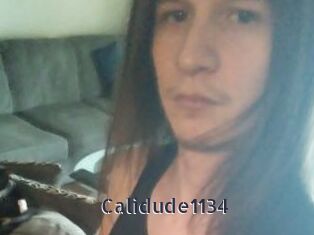 Calidude1134
