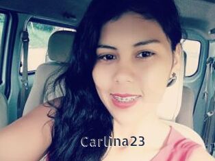 Carlina23