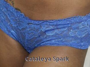 Cataleya_Spark