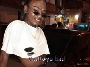 Cattleya_bad