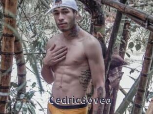 CedricGovea