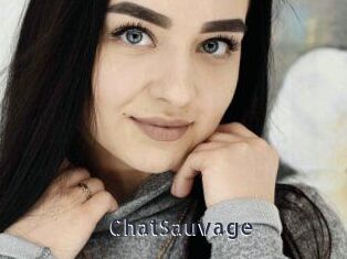 ChatSauvage