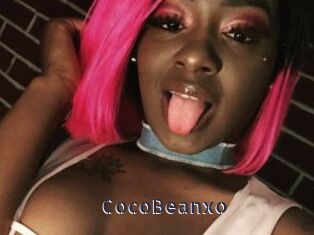 CocoBeanxo