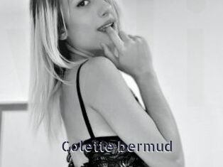 Colette_bermud