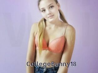 CollegeBunny18