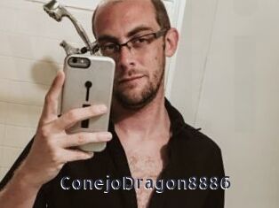 ConejoDragon8886
