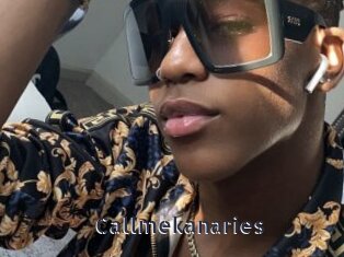 callmekanaries webcam livesex