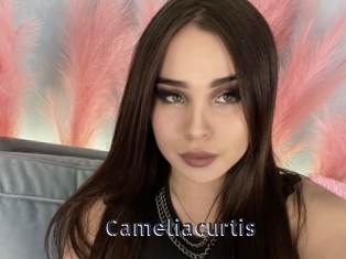 Cameliacurtis