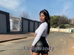 candywandy webcam livesex