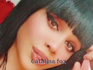 Catalina_fox