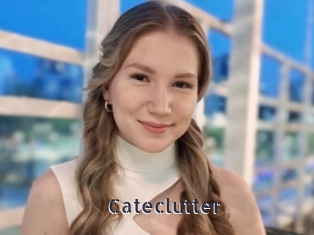 Cateclutter