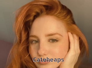 Cateheaps