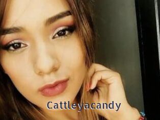 cattleyacandy webcam livesex
