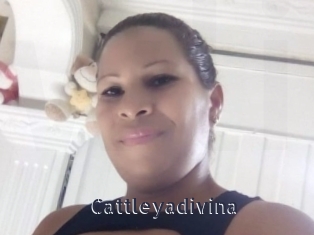 cattleyadivina webcam livesex
