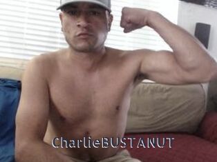 CharlieBUSTANUT