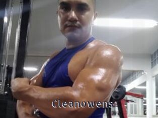 Cleanowens