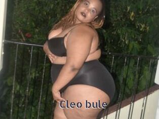 Cleo_bule
