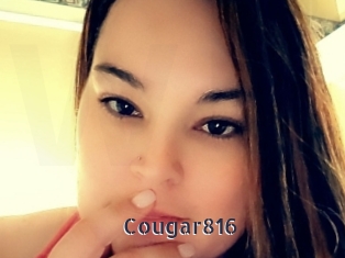 cougar816 webcam livesex