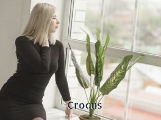 Crocus