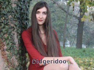 Didgeridoo