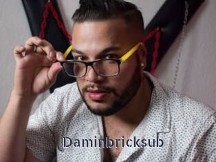 Daminbricksub