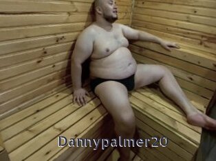 Dannypalmer20
