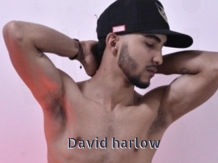 david_harlow webcam livesex
