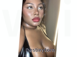 destinytorn webcam livesex