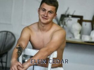 ELFIN_CEDAR
