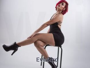 EvaBird