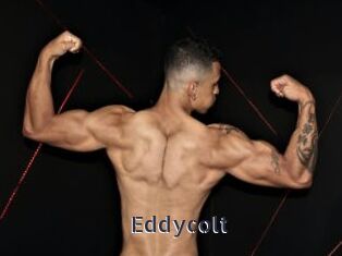 Eddycolt