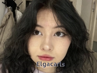 Elgacarls