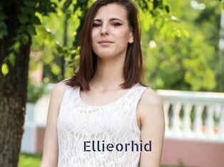 Ellieorhid