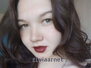 Elviaarnet