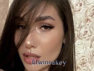 Elwineakey