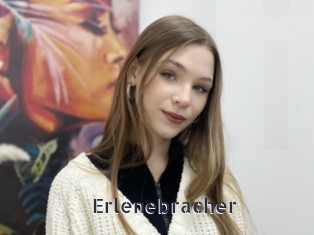 Erlenebracher