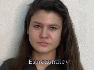 Esmehandley