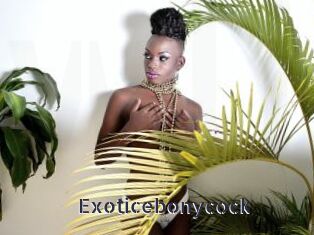 Exoticebonycock