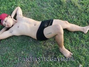 FANTASTICGayMark