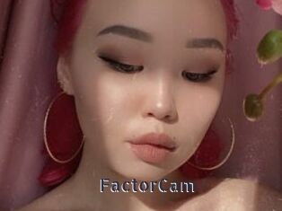FactorCam