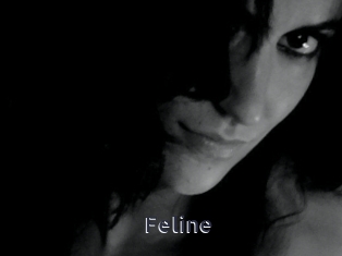 Feline
