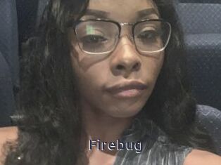 Firebug