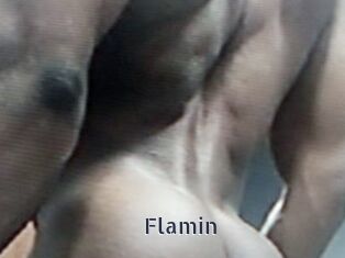 Flamin
